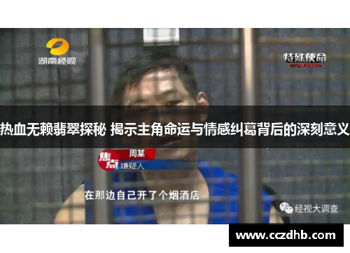 热血无赖翡翠探秘 揭示主角命运与情感纠葛背后的深刻意义