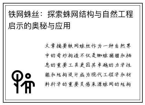 铁网蛛丝：探索蛛网结构与自然工程启示的奥秘与应用